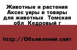 Животные и растения Аксесcуары и товары для животных. Томская обл.,Кедровый г.